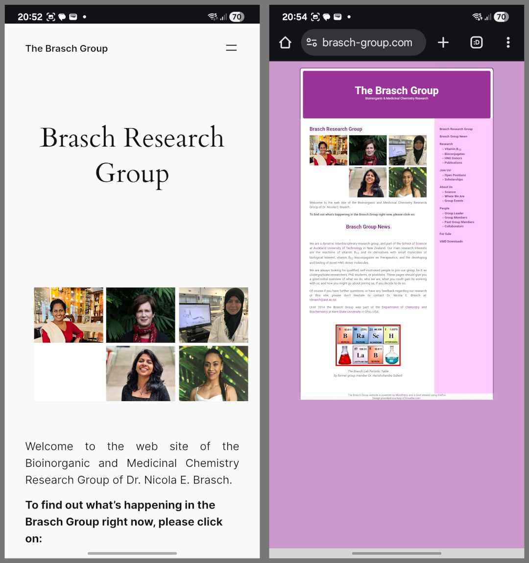 Old Website Screenshot